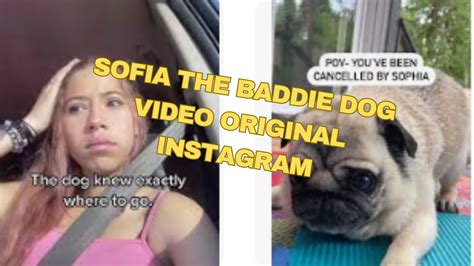 Sofia the baddie dog video 